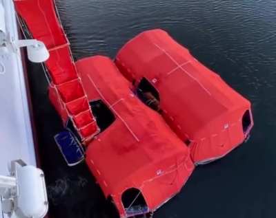 Amazing Emergency Escape Facilities on a Ship