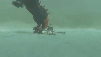 So it really was Ganon’s Horse...