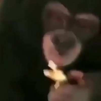 mono 420!!!!!!