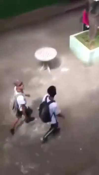 At&eacute; os professores devem ter se confundido
