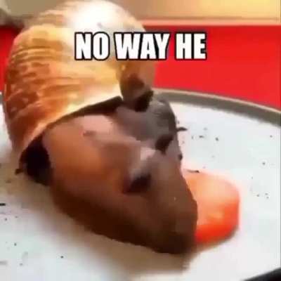NO WAY HE