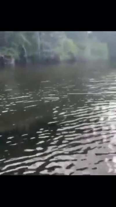 that&rsquo;s gotta be a monster