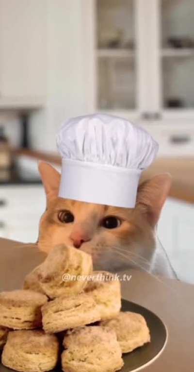 Master chef.