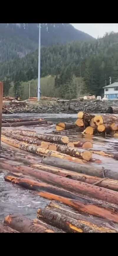 How a log tug is actually used
