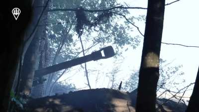 Artillery of 95th Air Assault Brigade of Ukraine strike Russian targets, Kursk