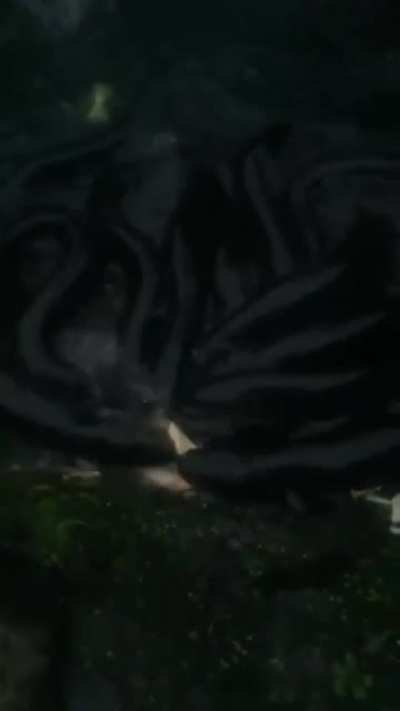 water devil: