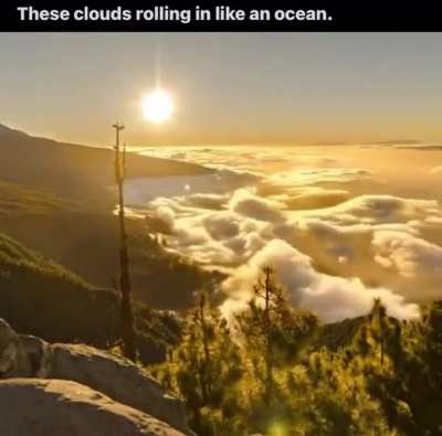 magic nature