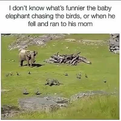 Little boy