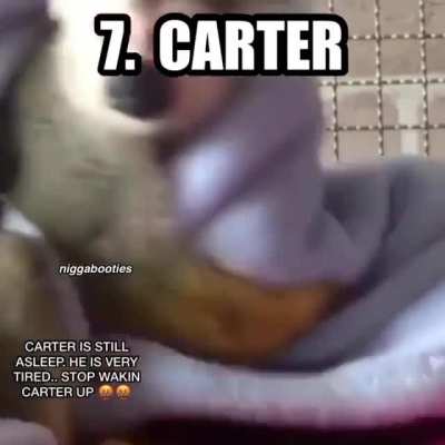 Ok they do be vibin 😭🤣🤣😧😧😮😮😤
