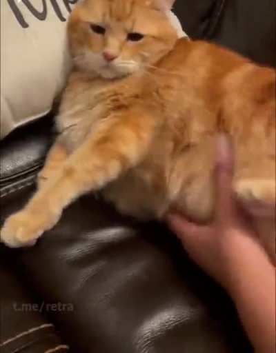 Don&rsquo;t bother me