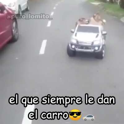 Tipos de panas😈