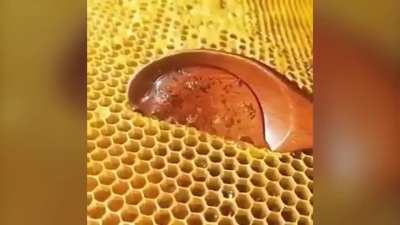 honeycomb
