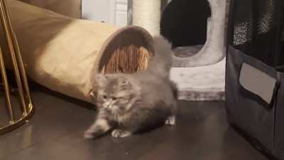 The greebles aren’t taking his mouse