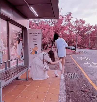 If you see me in public, please treat me like this...