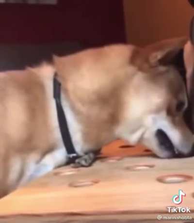 Hungry boy