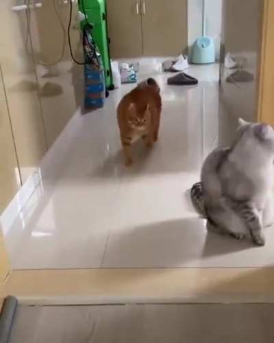 Oh lawd he comin