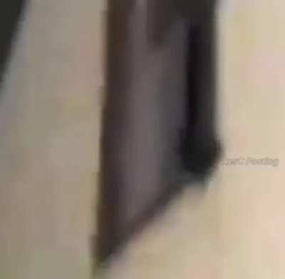 Xdddddddddddddddddd