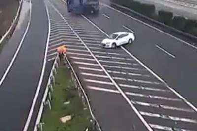 Гандон