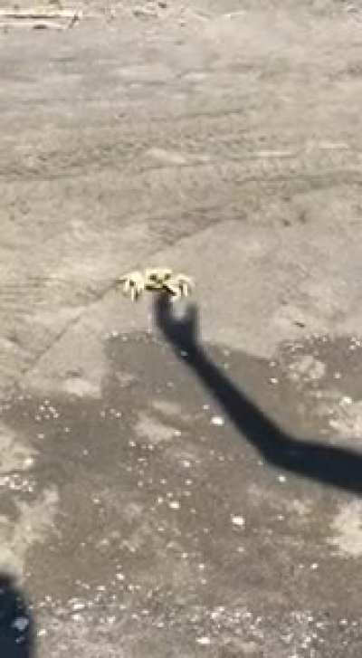 Shadow boxing