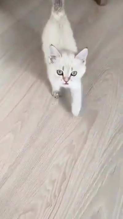 I think little sweetie is saying take me to your leader. Or all your tuna belong to us...
