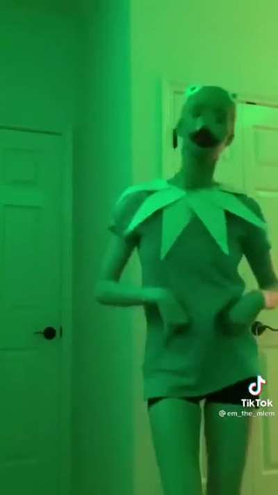 Me, a skinny enchanter main, playing Tahm Stench, prancing around the turret on top lane, cause Miss Riot decided to be homophobic today
