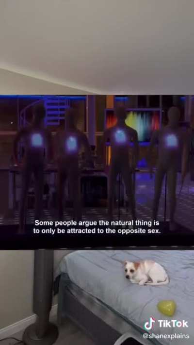 🎶bill nye the ally guy🎶🏳️&zwj;🌈🏳️&zwj;🌈🏳️&zwj;🌈🏳️&zwj;🌈