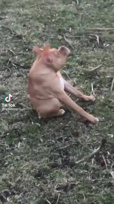 Ta chiquito