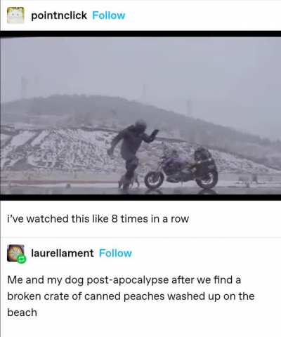 the sum of human experience