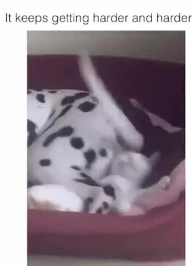 Pls sthap