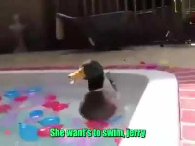 Jerry Nooooo!