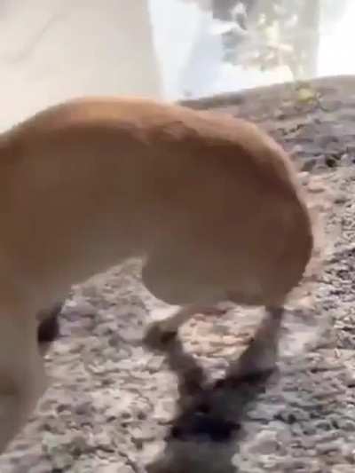 From 0 To 100 Real Fast