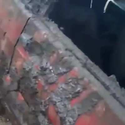 Призрачный гончик. Чудесное спасение...