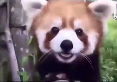 He&rsquo;s got such a big smile!