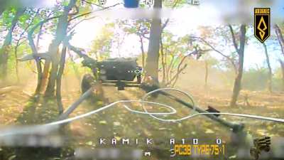 Northkorean MLRS 