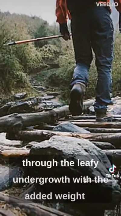 David Attenborough observing vegans in their natural habitat 