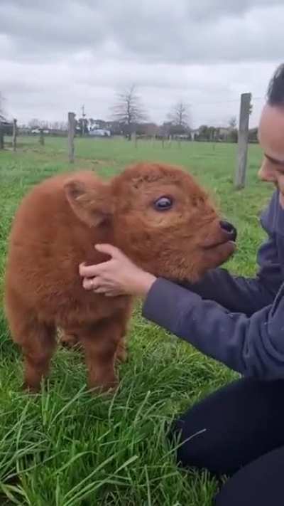 Little baby.