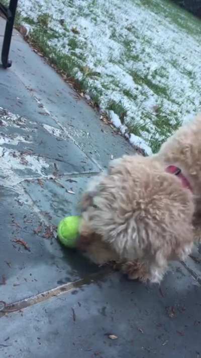 His ball froze to the ground and he didn&rsquo;t understand why he couldn&rsquo;t grab it