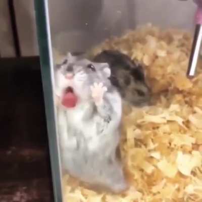 MRW She asks me to go down on her.