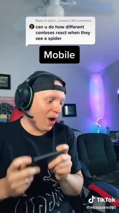 &ldquo;I hope you&rsquo;re not one of those jumping spid- AAAHHH&rdquo; - mcaquared90 from tik tok