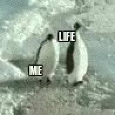 Life in a nutshell