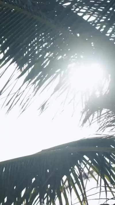 For ZEKI III