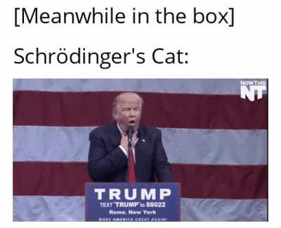 This is funny and not funny