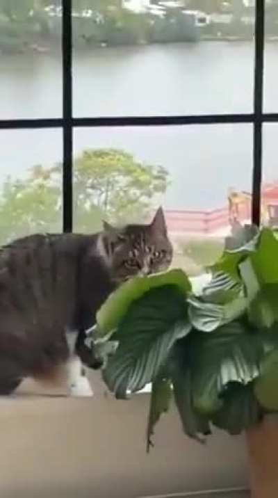 Don&rsquo;t the plants