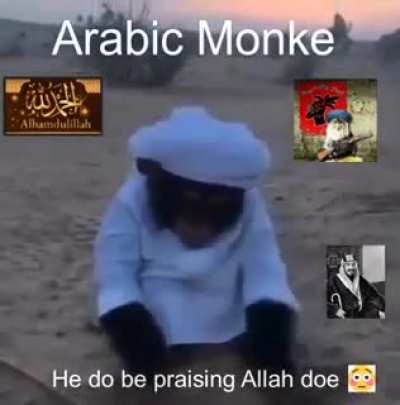 Arabic Monke