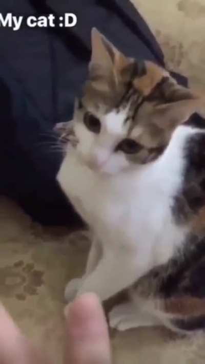 Can i get a high five?