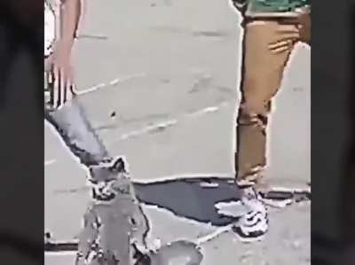 rule