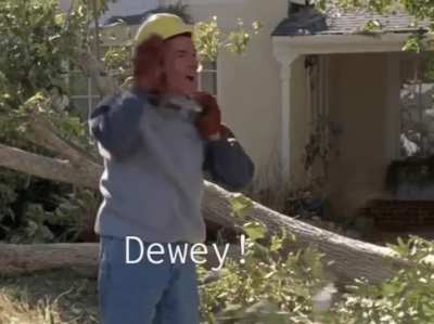 Яблыня от яблыка недалеко ушла