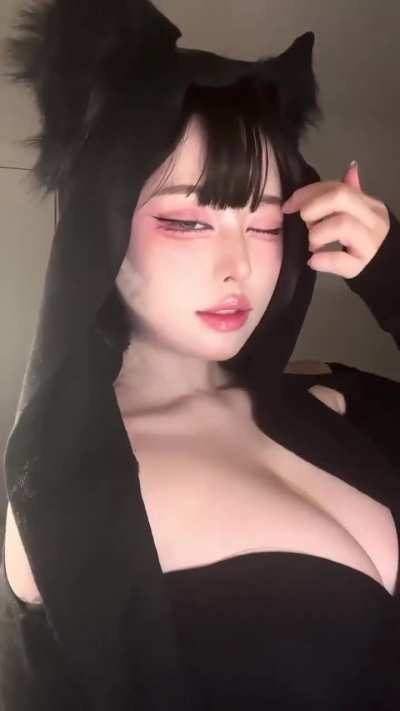 🐱