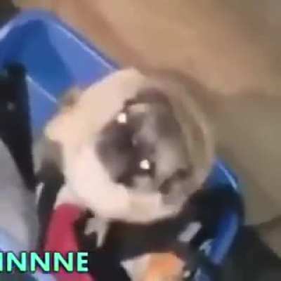 So nadie se sabe est&aacute; canci&oacute;n, me doy un tiro :p