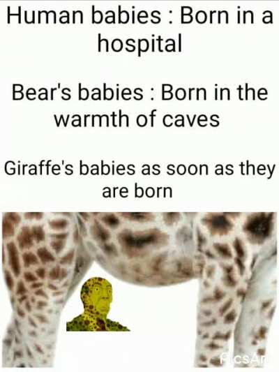5 FEET is a lot .......